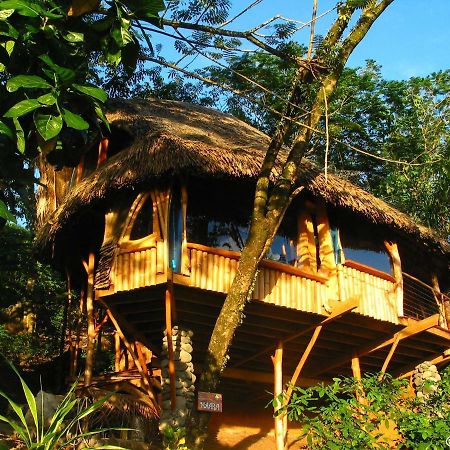 Vanira Lodge Теахупоо Экстерьер фото