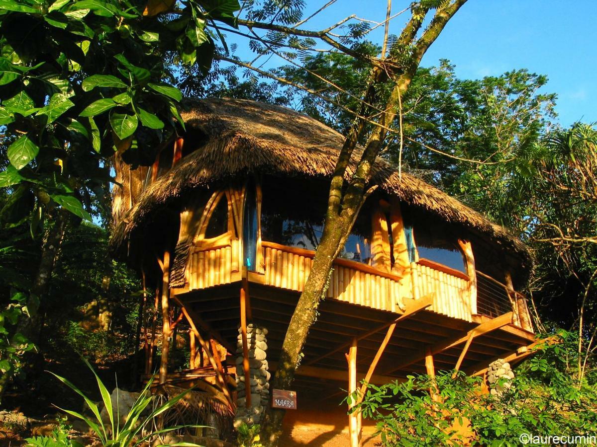 Vanira Lodge Теахупоо Экстерьер фото